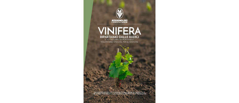 VINIFERA - ripartiamo dalle radici