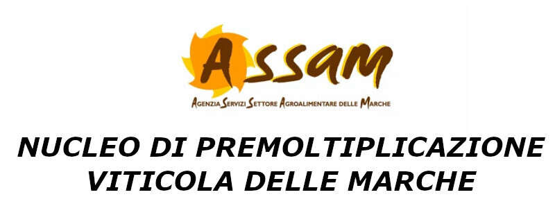 ASSAM Agenzia per i Servizi nel Settore Agroalimentare delle Marche